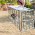 What are some common methods used for wildlife removal?