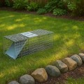 Top 10 Humane Wildlife Removal Techniques Every Homeowner Should Know