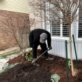 How can wildlife removal help protect your home?