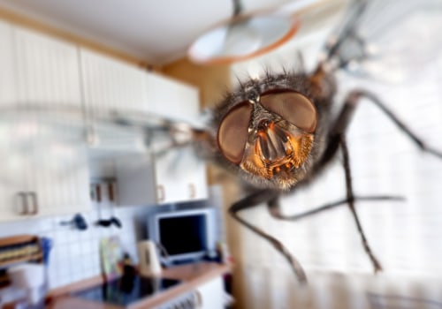 Can you prevent future infestations by making changes to your property or habits?