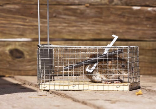 How much does professional wildlife removal typically cost?