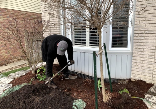 How can wildlife removal help protect your home?