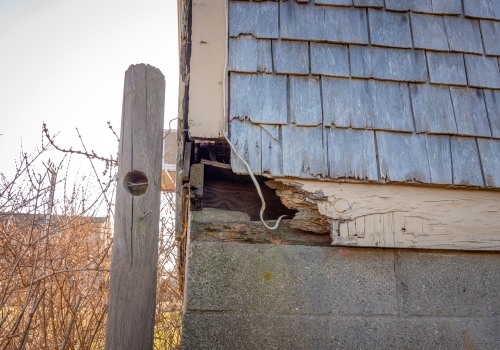 Is it necessary to repair any damage caused by the wildlife after it has been removed?